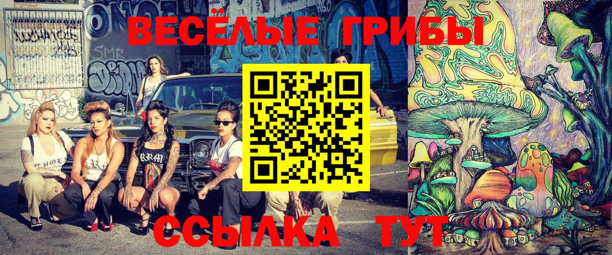 Псилоцибиновые грибы Cubensis  Галлюциногенные грибы Psilocybine cubensis  Вход с VPN  Мирный 
